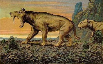 Dessin de Heinrich Harder