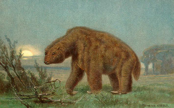 Dessin de Heinrich Harder