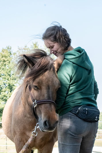 Pferdeosteopathie Leonie Johannink in Hamburg und darüber hinaus: ein Pferd wird am Kopf osteopathisch behandelt