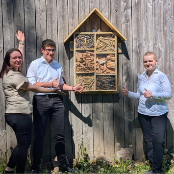 Azubi Projekt Insektenhotel