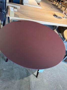 Table "Moser by Jakob Wagner "