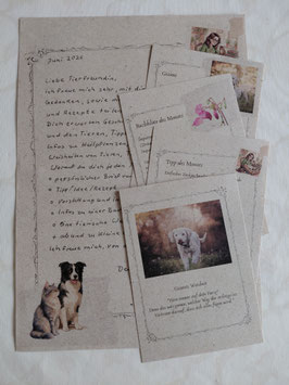 Post von Mrs. Dolittle
