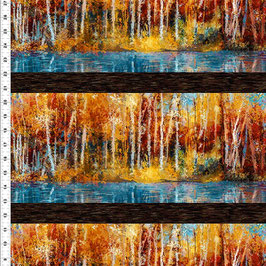 A Year of Art, Autumn, Border, In The Beginning Fabrics 09089350525