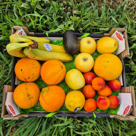 Panier de fruits