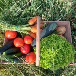 Panier de légumes