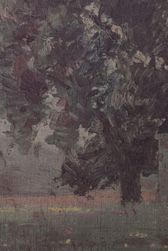 BAUM