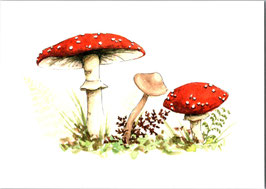Postkarte Fliegenpilze