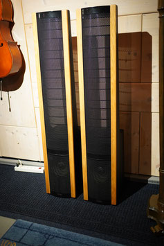 Martin Logan The Aerius