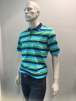 Herren Poloshirt grün/blau