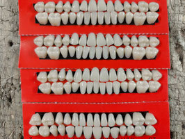 Resin Zähne