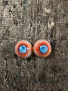Auge 31