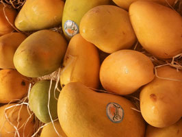LF. MANGO ATAÚLFO
