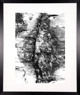 Lebenslinien 014