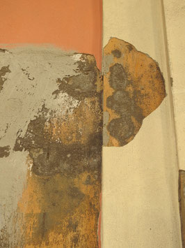 Weathered Tenderness