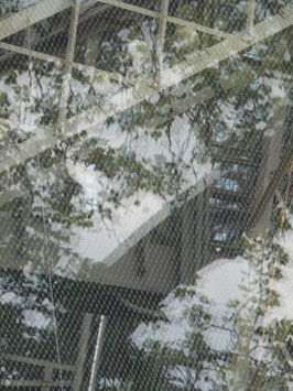 Protected View