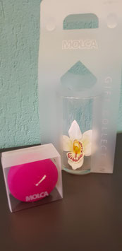 MOLCA Schwimmkerzen-Set / Orchidee weiss