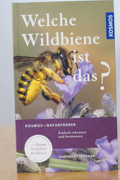 Welche Wildbiene ist das?