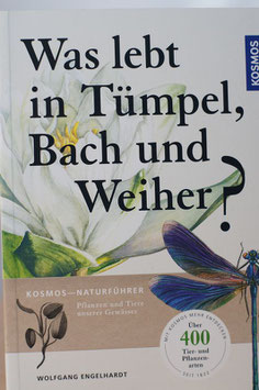 Was lebt in Tümpel, Bach und Weiher