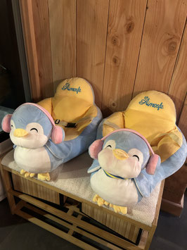 Baby stoeltjes voor de tweeling