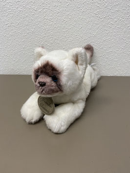 Siamese knuffel kat van het merk Yomiko classics