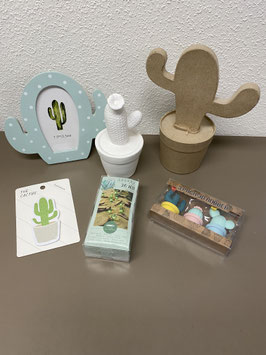Decoratie cactussen