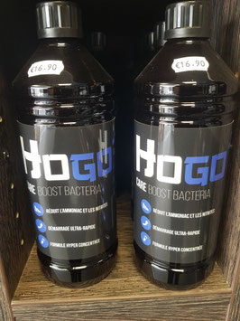 BOOST BACTERIA 1L