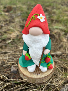 Gnome Fraise ….  Nature