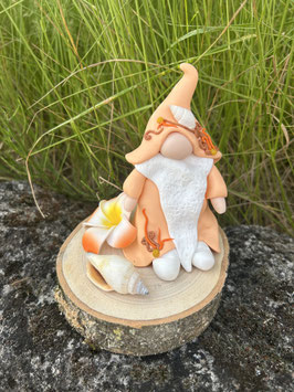 Gnome Corail