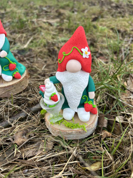 Gnome Fraise ….  Chantilly