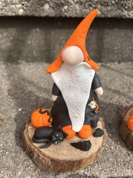 Gnome Halloween… Katt