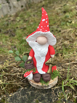 Gnome Champimignon… Titi