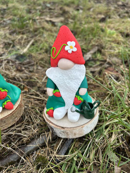 Gnome Fraise ….  Jardin
