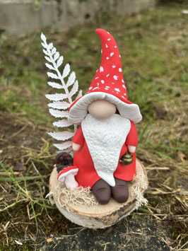 Gnome Champimignon… Borice