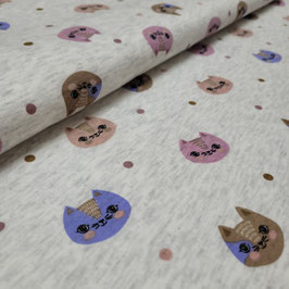 Katzen creme meliert