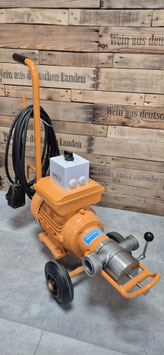 Impellerpumpe Phönix 6.000  mit 1 Drehzahl und Bypass 230 V
