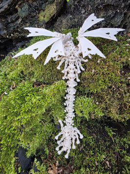 Hollow Dragon / Knochen Drachen