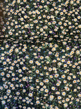 Patchworkstoff kleine Margariten dunkelgrundig