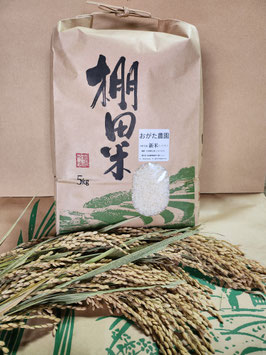 白米