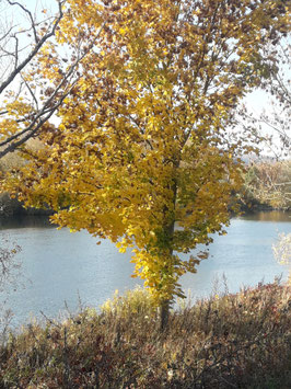 Herbstferien-Trainingstage im Spessart 2025
