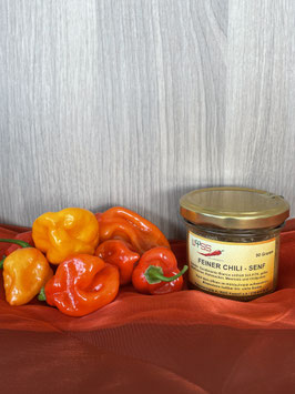 Feiner Chili-Senf 90g