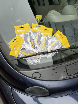 Flexinmultipla - Multipla Scent Car