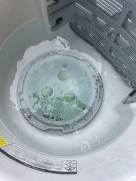 EGO3 Filter für Wellis CityLine, Starline, Fyll Spa, Camargue (Bauhaus) & Swimspas ab BJ2018