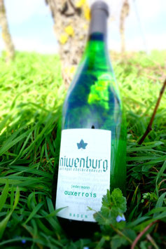 Auxerrois