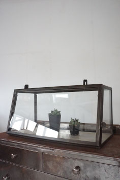 Show case (SOLD)