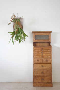 Dentist Cabinet （SOLD）