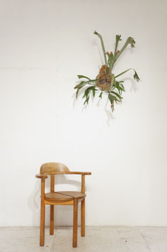 Arm Chair