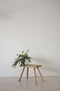 STOOL （SOLD）