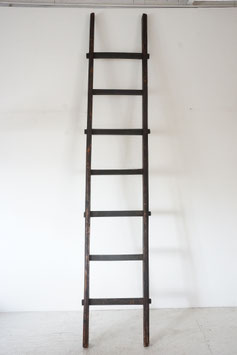 BIG LADDER