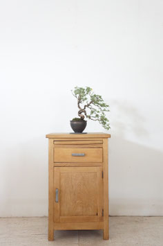 Small Cabinet （SOLD）
