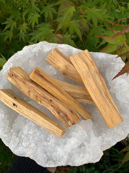 Baton de Palo Santo (lot de 3)